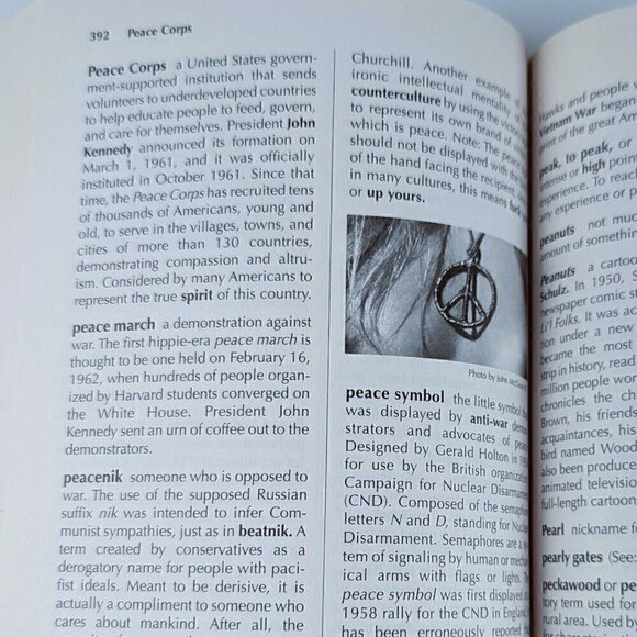 Hippie Dictionary by John Bassett McCleary - Soft Cover, 2002 - Picture 7 of 7